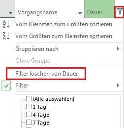 MS_Project_2013_Filter_loeschen