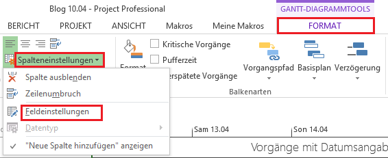 MS_Project_2013_Spalteneinstellungen