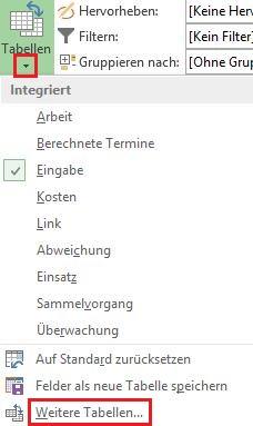 MS_Project_2013_Tabellen