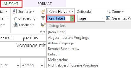 MS_Project_2013_Vordefinierte_Filter