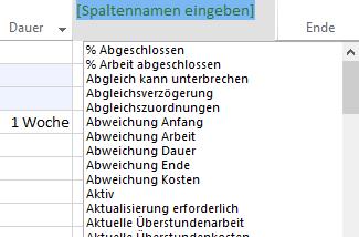 Microsoft_Project_2013_Spalte_einfgen