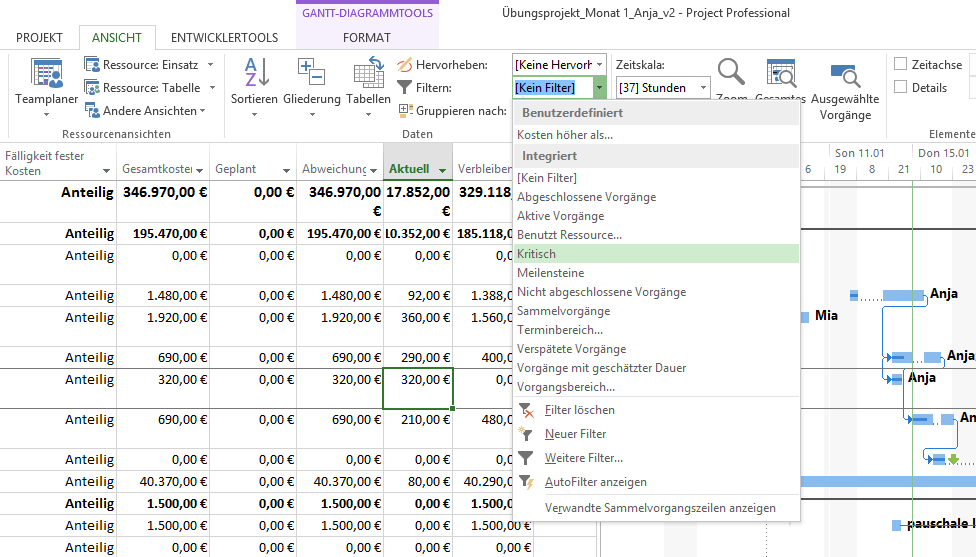 3 filter kritischer Pfad in MS Project 2013