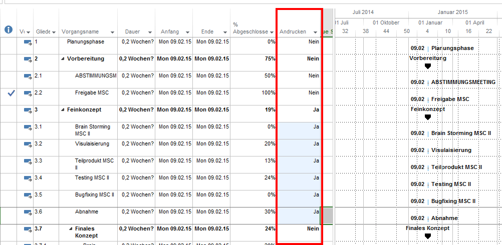 MS Project 2013 Vorgänge drucken 2