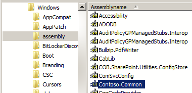 AssemblyCache