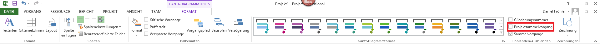 1Projektsammelvorgang einblenden