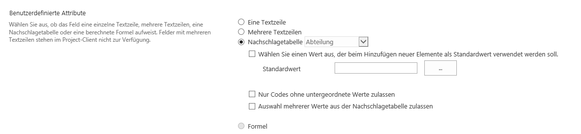 Auswahl der Nachschlagetabelle MS Project Server 2013