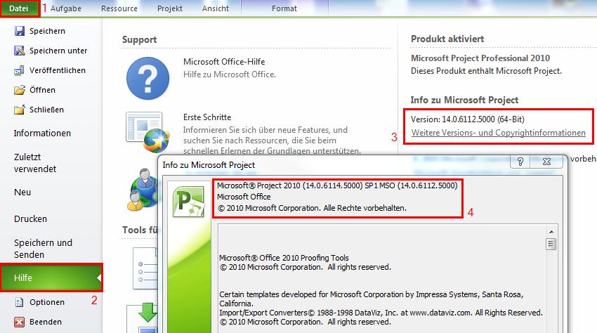 MS_Project_Client_2010_Programmversion_berprfen