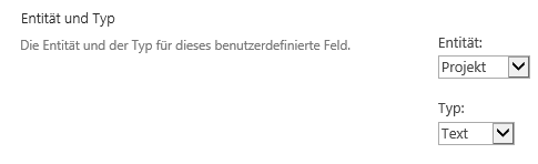 Erstellung_eines_benutzerdefinierten_Enterprise-Feldes_auf_dem_Project_Server4