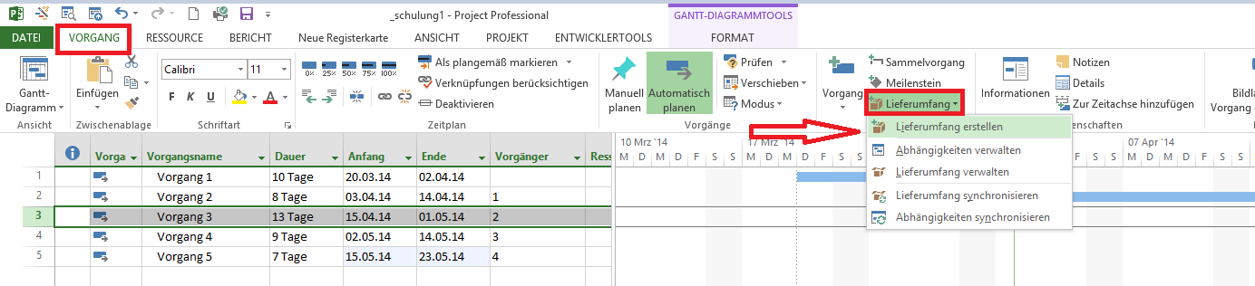 lieferumfang erstellen mit MS Project Professional