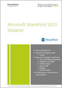 SharePoint Designer Deckblatt_kl