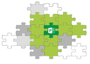 Project Puzzle