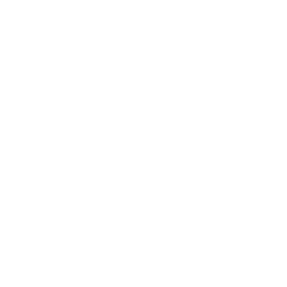 arksolutions Logo weiss